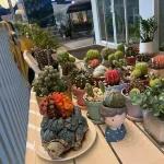 Room Kohlarn Resort Hotel in zona Had Ta Yai Beach