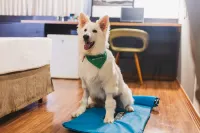 Hotel Cassino Tower Curitiba Aeroporto by Nacional Inn Hotels in 