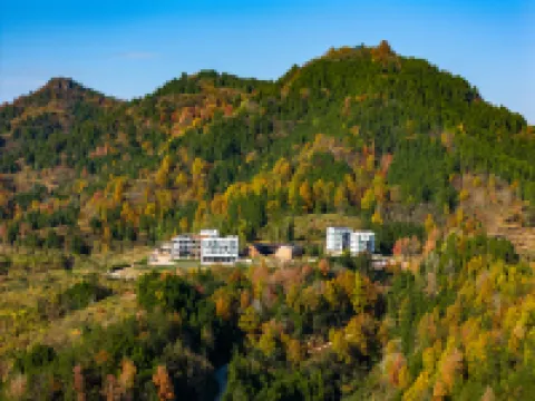 Xian Ju Bu Bu Shan Su (Oil Bottle Science Store)