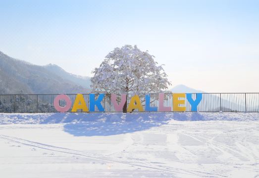 리조트 외부 풍경