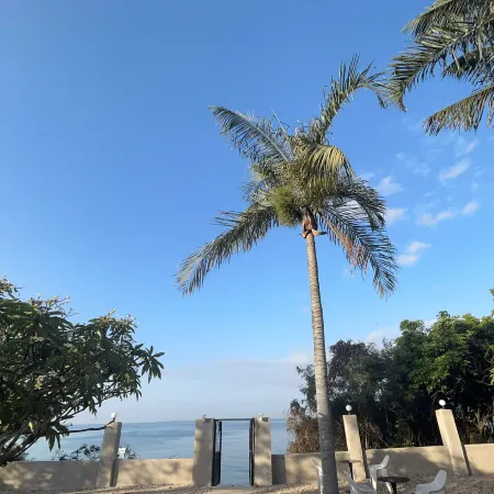 Mango Beach Hotel