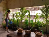 UdonBackpackers Beds and Cafe Hotels near Bus Station 1