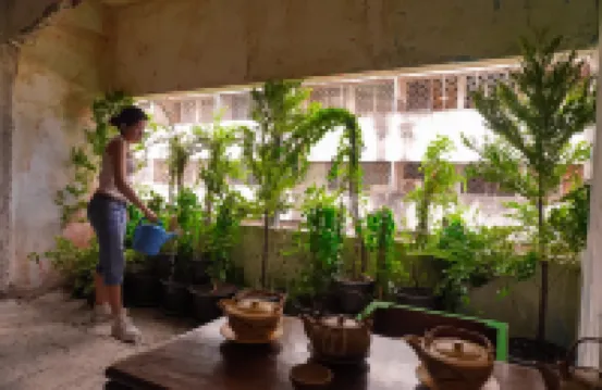 UdonBackpackers Beds and Cafe