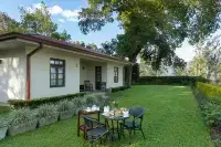 Olive Bungalow - breakfast