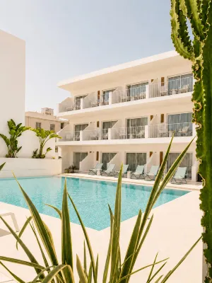 Melitti Lucent - Pet friendly