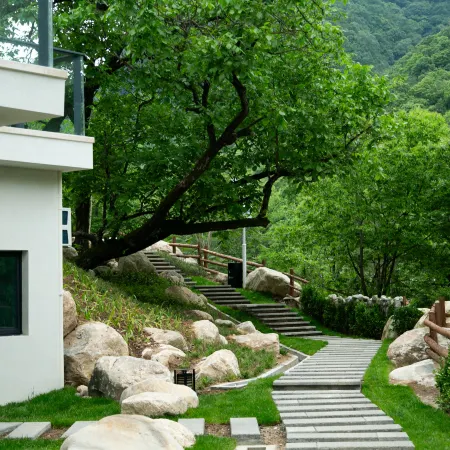 Zhongnanshan Elegant