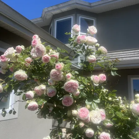 An lucky en-suite with private entrance Vancouver close to YVR