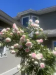 An lucky en-suite with private entrance Vancouver close to YVR - Bãi đậu xe