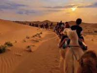 Zhongwei Brilliant Galaxy Starry Dune Desert Stargazing Study Vacation Apartment - 2 stelle