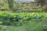 Zhoukou Feiyi Culture Homestay