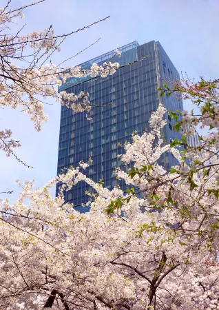Sofitel Ambassador Seoul Hotel & Serviced Residences Отели рядом с достопримечательностью «Намсанская деревня-музей традиционного корейского жилища ханок»
