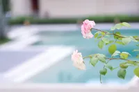 Leshan Jinhaitang Hotel - 5-Star