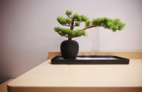 福鼎君臨·玉湖リゾートホテル（太姥山）