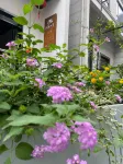 Xinwu No.8 Homestay，Xinchang County Hotel in zona Thousand-Meter-Deep Valley