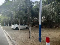 Dongshan Dongyu Dongxiang(DONG.SHAN.DAO.DIAN) - parcheggio