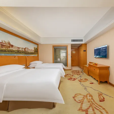 Vienna Hotel (Luoding Luocheng Branch)