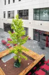 IntercityHotel Karlsruhe Các khách sạn gần Karlshochschule International University