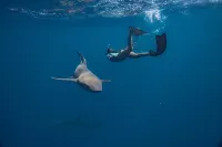 Sun Siyam Olhuveli Maldives - ที่มีฟิตเนส