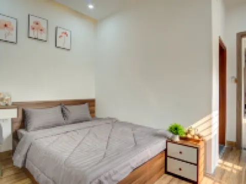 Tan Hoà Homestay Da Nang Airport 私立デュイタン大学周辺のホテル