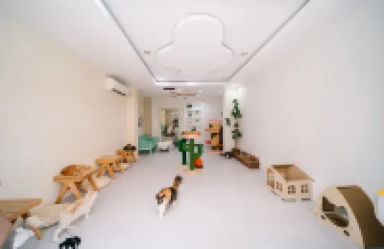 Catnip Seaside Hotel&Cafe