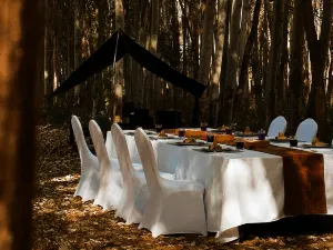 Zhongwei No.7 Starry Sky Tent Hotel