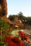 Three Queen Villa and Homestay Hotels in Wanokaka