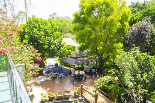 Heshan Songjian Mountain Residence Homestay