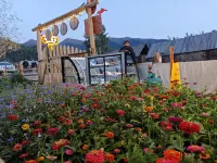 Baihaba Yunye Shanse Homestay - غرفة مطلة على الجبل
