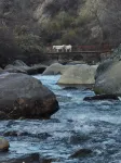 THE MONK UNDER THE MOUNTAINS