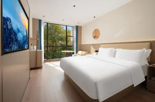 Xiboru Light Luxury Hotel (Jianghan Road Pedestrian Street Union Hospital) - Cheap