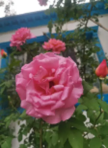 SuErDong Homestay
