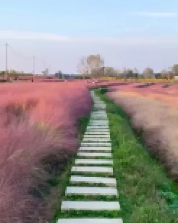 Homeinn · neo (Huantai Maqiao Town)