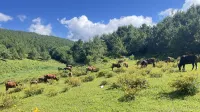 Eryuan Xiyue Chinese Inn Homestay - vue sur la montagne