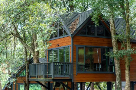 Luhe Liangshan Forest Wellness Homestay (Wandong)