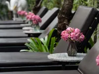 Harmony Indochine d'Angkor Hotels near Wat Chowk