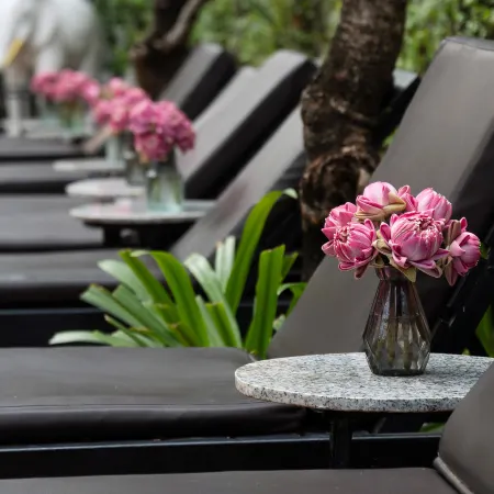 Harmony Indochine d'Angkor