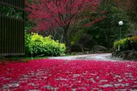 Brook-View Eco-Farm Hotels in Fuxing District