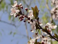 Hongyuan MiDuoer Hotel Lingshi İlçesi otelleri