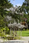 To Boutique Garden - 2-Star