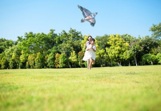 피오니 인터내셔널 호텔 객실