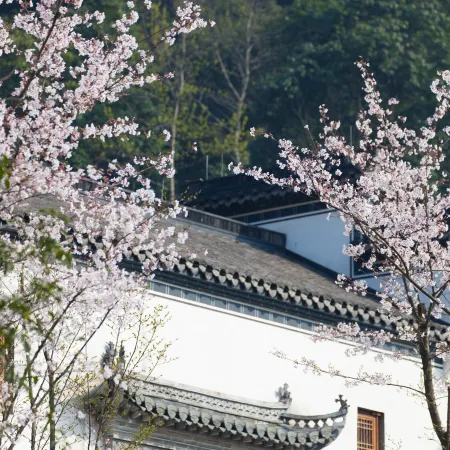 Pusen Lanting ShaoXing