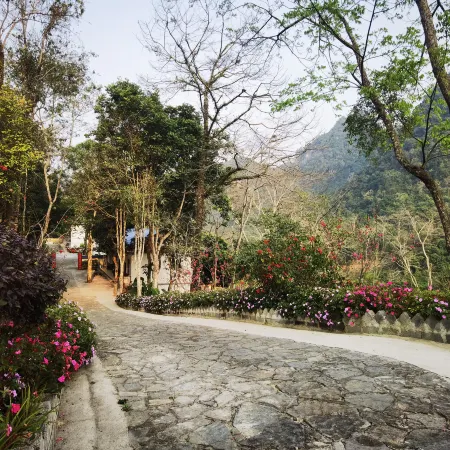 Longhushan Homestay