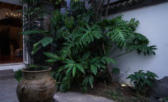 Mushanxi Dali Puyuqing Luxury Homestay