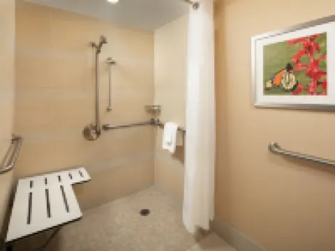 ホリデイ イン オースティン -タウン レイク by IHG オースティンのホテル