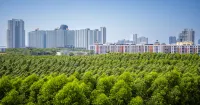 WYNDHAM JOMTIEN PATTAYA Các khách sạn ở Pattaya