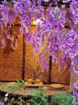 West Lake Time Su Guesthouse - 2 stjerner