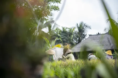 The Artini Dijiwa Ubud