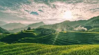 Wu Mountain Retreat Các khách sạn ở Long Thắng