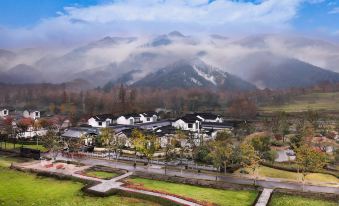 THE ROOT RESORT