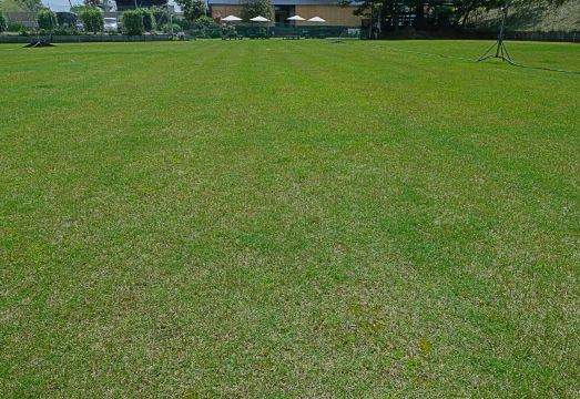 1. 온센 호텔 홀리..